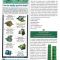 Pumps India